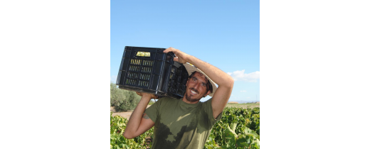 Dai ritmi frenetici della città alla scoperta del mondo del vino: il vino artigianale de Il Mortellito